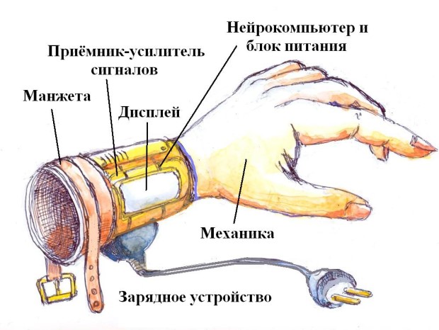 Возможная компоновка интеллектуального протеза кисти руки
