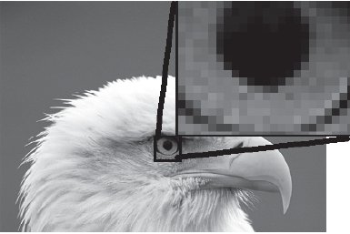 Растровое изображение складывается из пикселов, как стена из кирпичей