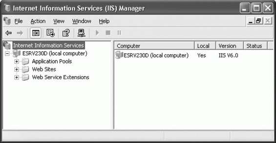 Консоль Internet Information Services (IIS) Manager