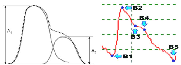 Структура пульсовой волны: А1 – амплитуда анакротической части пульсовой волны; А2 – амплитуда дикротической части волны. Справа – нормативные точки для количественного оценивания пульсовой волны