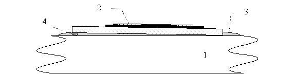 Взаимное расположение поверхности призмы 1 и съемного рецепторного чипа 2; 3 – иммерсионная жидкость; 4 – посторонняя пылинка