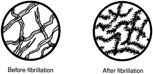 Волокна бумаги до (слева) и после (справа) фибрилляции