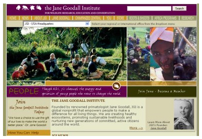 Сайт Jane Goodall Institute - хороший пример тетрадической цветовой схемы