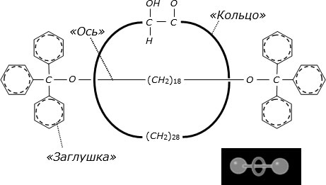 Структурная химическая формула одного из ротаксанов. Внизу показана пространственная "модель" молекулы