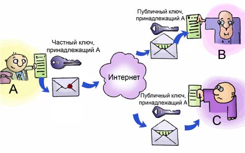 Сообщение мог послать только А (лишь он обладает частным ключом), т.е. проблема аутентификации решена. Но, например, B не уверен, что письмо не прочитал также С. Таким образом, конфиденциальность не обеспечена