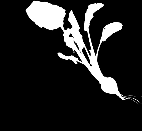 Канал "редис"