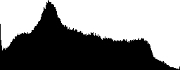 Диалоговое окно Histogram (канал Luminosity) показывает общее распределение яркости в изображении – так выглядела бы гистограмма, если бы изо-бражение было переведено в градации серого. Эффект динамического отсечения в диалоге Le-vels (регулятор находится на отметке 220) дает дополнительную информацию об уровнях насыщенности. При этом уровне отсечения зеленые области имеют полную насыщенность (255G). Голубые области составляют 255G, 255B. Белые области являются чисто белыми – 255R, 255G, 255B