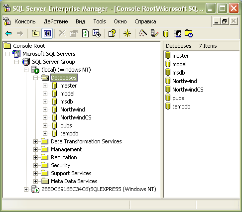  Содержимое локального сервера в программе SQL Server Enterprise Manager