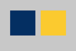 Поместите на серый фон сначала два одинаковых квадратика разного цвета