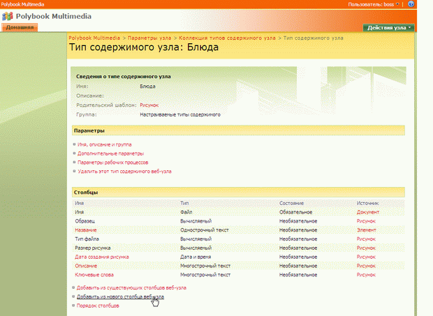 Параметры созданного типа содержимого