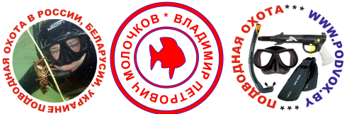 Рыболовные логотипы с расположением текста по кругу
