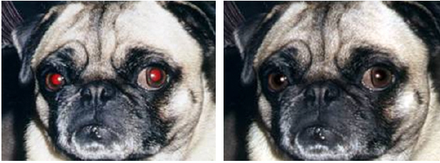 Результат устранения эффекта "красных глаз" в программе Adobe Photoshop