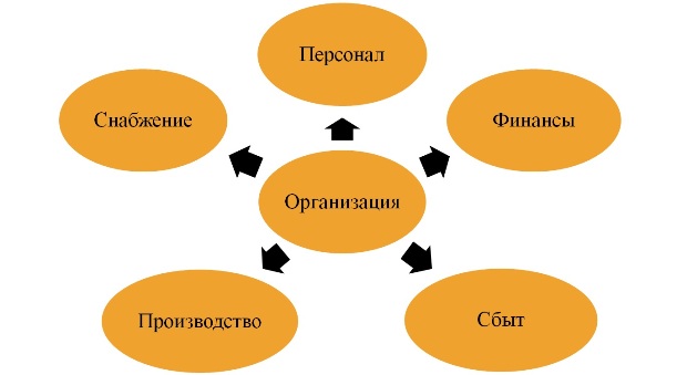 Структура типовой организации