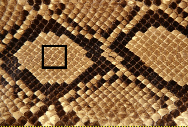 Создаем текстуру змеиной кожи
