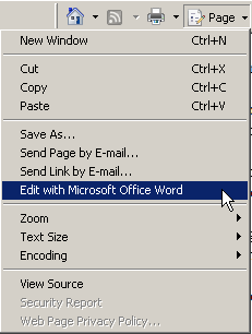 Выполнение команды Страница-Править в Microsoft Office Word в Internet Explorer