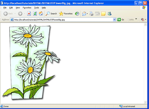 Изображение GIF, открытое в окне браузера