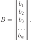 B=
\begin{Vmatrix}
b_1 \\
b_2 \\
b_3 \\
\dotsc \\
b_m
\end{Vmatrix}.