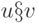 u \S v