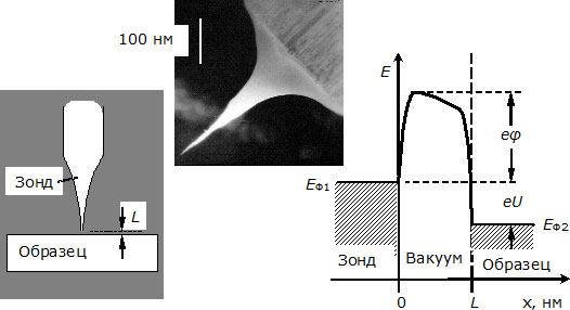 Слева – взаимное расположение зонда и образца в СТМ;  в центре – микрофотография острия вольфрамового зонда, полученная в РЭМ; справа – энергетическая диаграмма промежутка между зондом и образцом