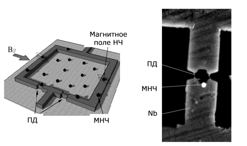 Слева – схема измерения магнитного поля отдельных наночастиц (НЧ). Справа – микрофотография в сканирующем электронном микроскопе магнитной наночастицы (МНЧ) диаметром 165 нм на краю сквида. ПД – переходы Джозефсона (здесь "мостики")