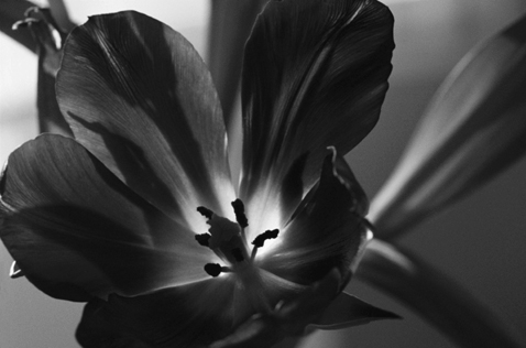 Синий канал