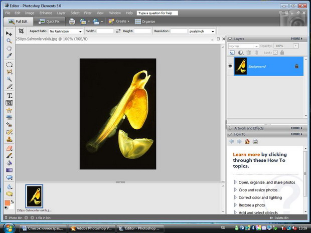 Графический редактор Adobe Photoshop в программной среде Windows Vista