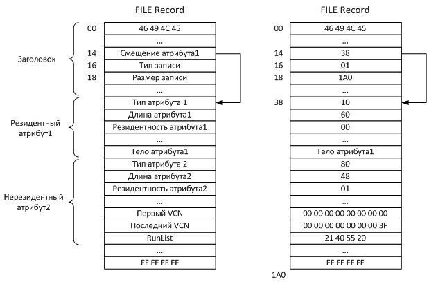 Поля заголовка и атрибутов файловой записи