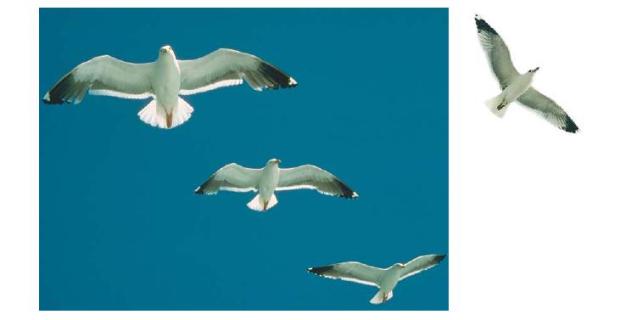 Источники графических данных