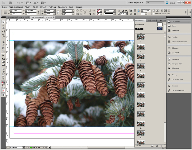 Фото размещено во фрейме