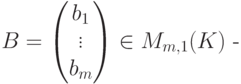 B=
\begin{pmatrix}
b_1\\
\vdots\\
b_m
\end{pmatrix} \in M_{m,1}(K) \text{  -}